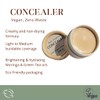 River Organics Zero-Waste Concealer | Gentle Sensitivei Skin Toxic-Free Formula