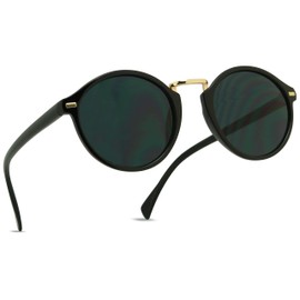 ShadyVEU Small Slim Round Gold Accents Fashion Retro Hipster Sunglasses (Black Frame/Smoke Lens)