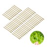 50pcs Tea Stem Stud Earrings Prevent Inflammation Tea Rod Curing