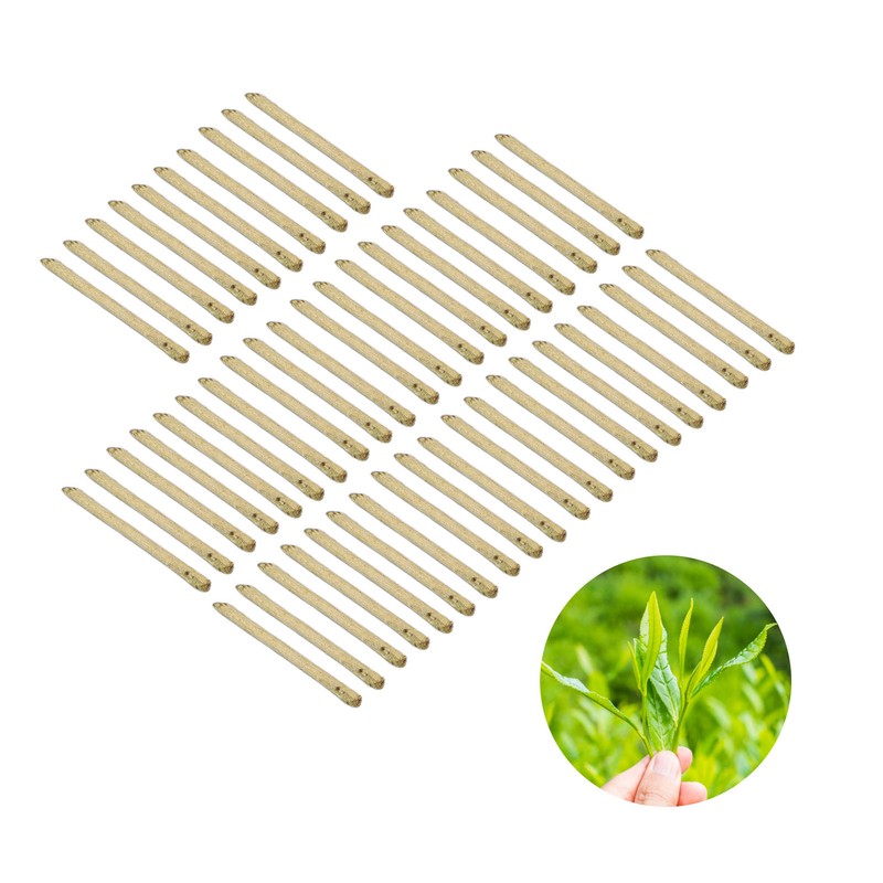 50pcs Tea Stem Stud Earrings Prevent Inflammation Tea Rod Curing