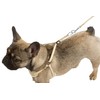 Kerbl Puppy Harness with Rope, 30-50 cm/10 mm, Beige