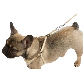 Kerbl Puppy Harness with Rope, 30-50 cm/10 mm, Beige