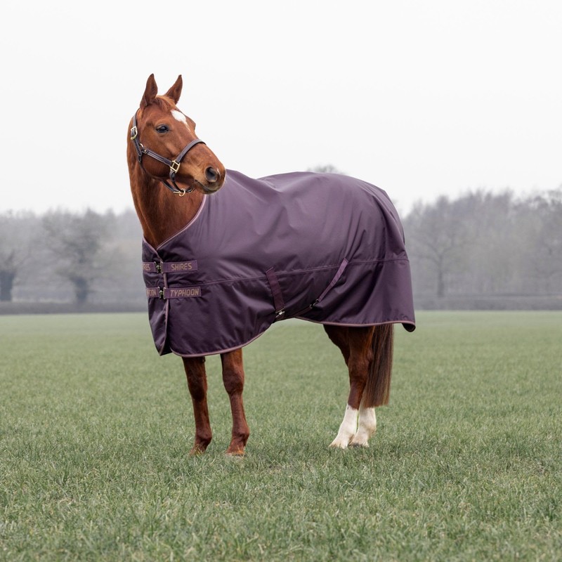 Shires Typhoon 100 Turnout Rug - Black Cherry