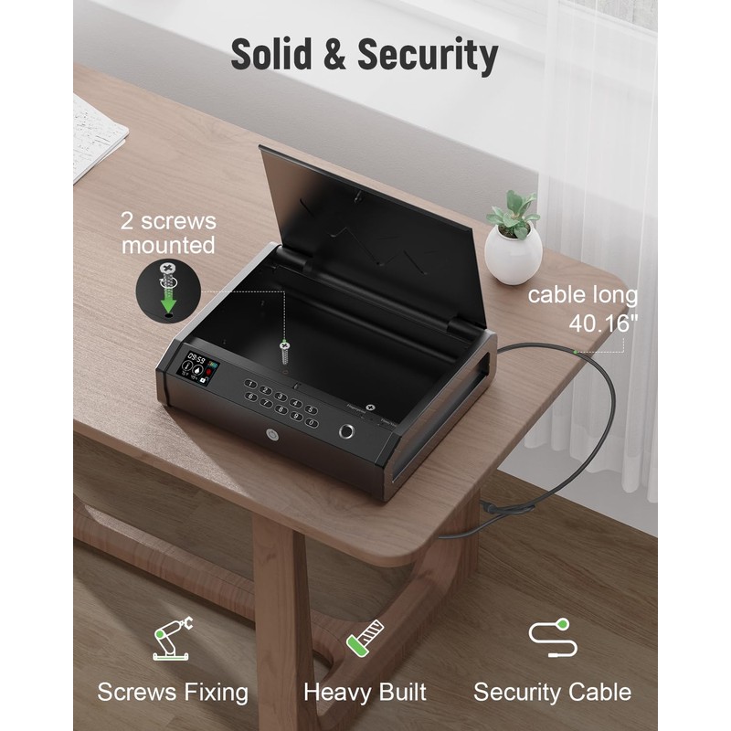 HOLEWOR Gun Safe, Biometric Safes for Pistols with LCD Display