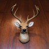 Zeckos 12 Point Buck Deer Head Bust Resin Wall Sculpture