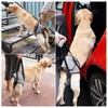 Dotoner Dog Lifting Harness, Dog Support Harness for Rear Legs,