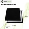 InvisiClean True Hepa Replacement Filter with Activated Carbon Prefilter -