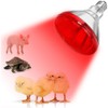 DaToo Infrared Heat Lamp Bulb for Chickens Red Heat Lamp