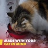 Emergency Zone - Cat Emergency Survival Kit - Bug Out,