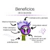 Crema Facial Nutriente Antiacne Beef Tallow Lavanda