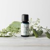 Ellia Eucalyptus Diffuser Essential Oil | 15ml, 100% Pure, Therapeutic