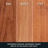 Varathane Premium Fast Dry Wood Stain Spray, 10.25 oz, Cognac,