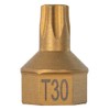 T30 Torx Dual Drive Bit