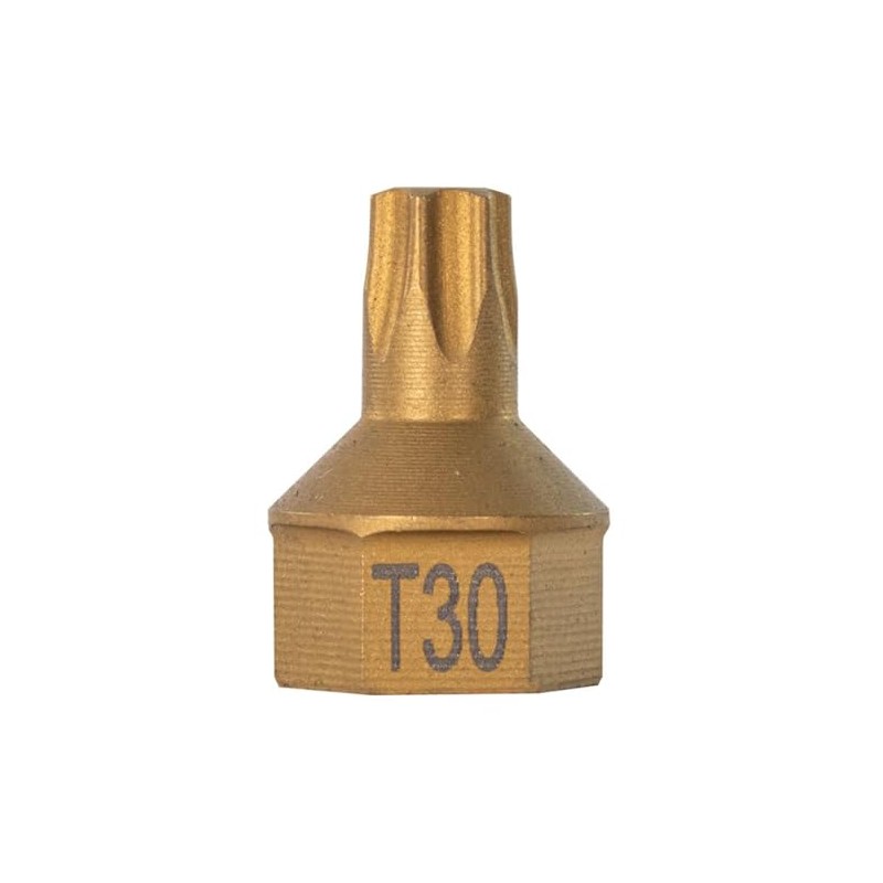 T30 Torx Dual Drive Bit