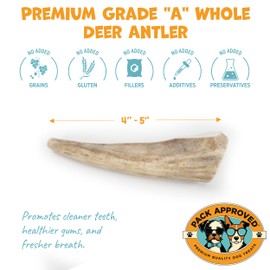Pack Approved Whole Deer Antler for Dogs - Long Lasting Dog Chews for Aggressive Chewers - Single Ingredient Dog Treat & Odorless Deer Antlers for Small Dogs & Medium Dogs - 4-5" (1ct)