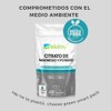 Wellthy Citrato de Magnesio y Potasio 220 Cápsulas. Tomar Sólo
