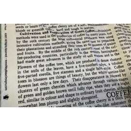 RILEY BLAKE - COFFEE CHALK #C11039 - TEXT - WHITE BY J. WECKER FRISCH- BTY