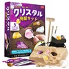 XXTOYS Crystal Excavation Kit Crystal Discovery Gem Mining Toy Amethyst