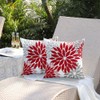 DFXSZ Red Pink Flower Pillow Covers 18x18 Inch Set of