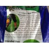 1 lb Falcons Tall Turf Fescue-A Three Falcon Blend Best