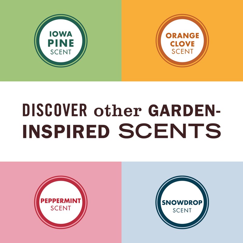 MRS. MEYER'S CLEAN DAY Soy Tin Candle, 12 Hour Burn