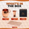 Moscow Mule Cups Set of 4 | 100% Pure Copper