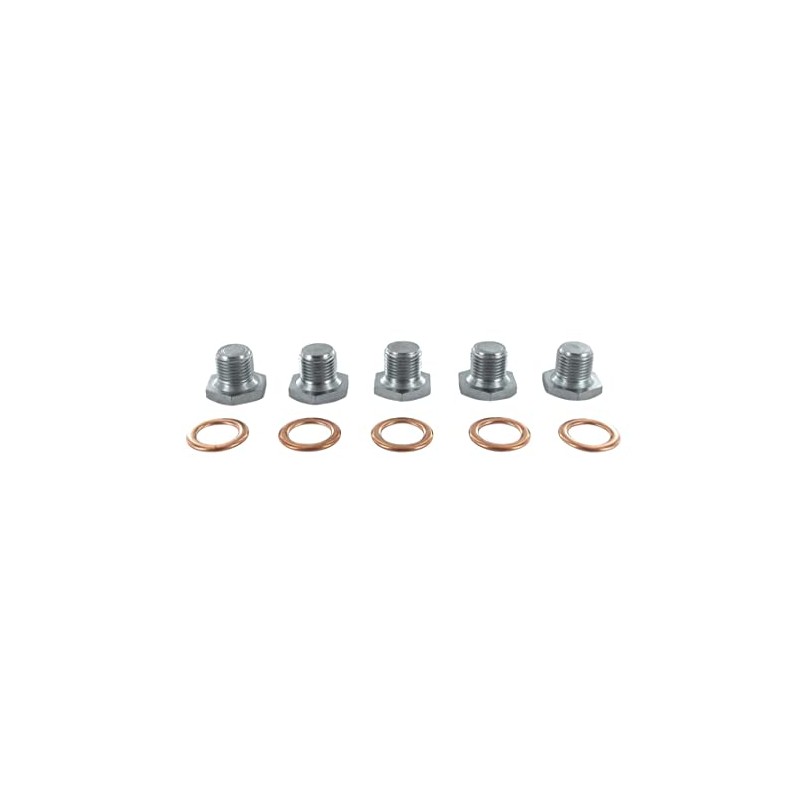 VAICO V42-0259 Locking Screw, Oil Pan