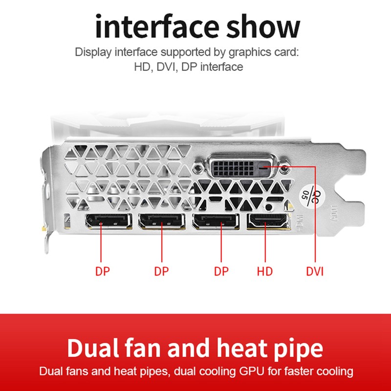 Graphics Card Dual Fan DP HD Multimedia Interface DVI Output