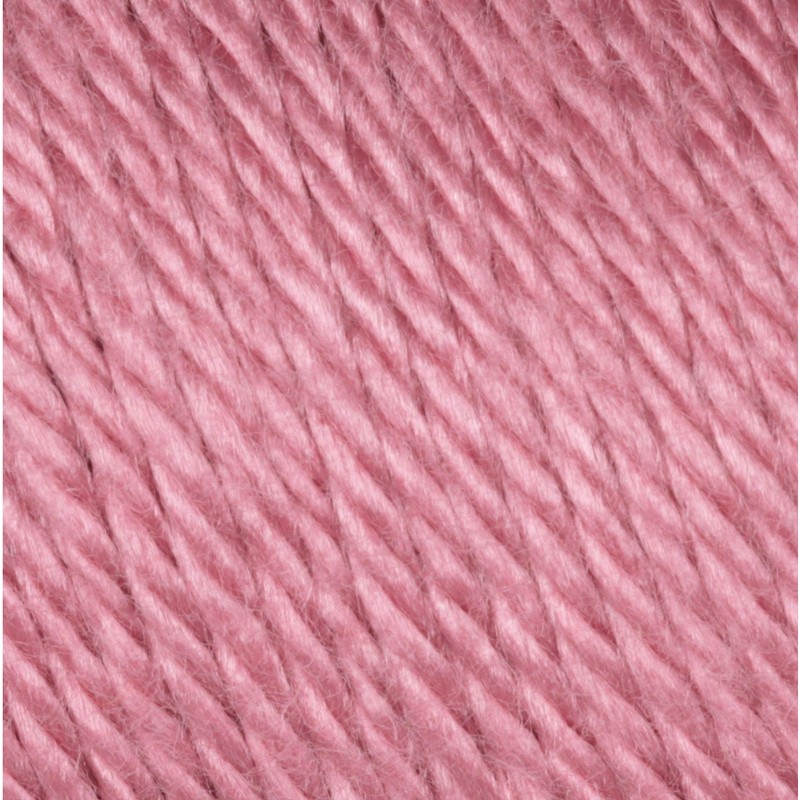 Bulk Buy: Caron Simply Soft Yarn Solids (2-Pack) (Plum Wine)