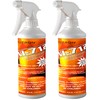 Neutron Industries NI-712 Fresh Orange Odor Eliminator Spray (2 Bottles)–