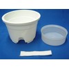 Bottom Water Supply Plastic Pot No. 5 with Translucent Saucer,