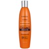 Kareol Argán Shampoo · Nutrición Extraordinaria Antioxidante 300ml