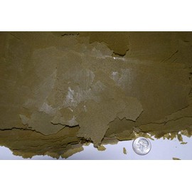 Ken's Ultra Spirulina Garlic & Paprika Flake 1/2 lb