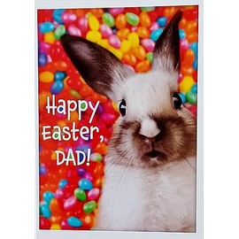 Greeting Card I Wouldn't Trade You For All The Jelly Beans in The World - Happy Easter Dad