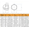 binifiMux 20pcs 3/8-16 Acorn Cap Nuts 304 Stainless Steel