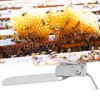 Stainless Steel Multipurpose Beekeeping Grafting Tool Needle for Queen Bee