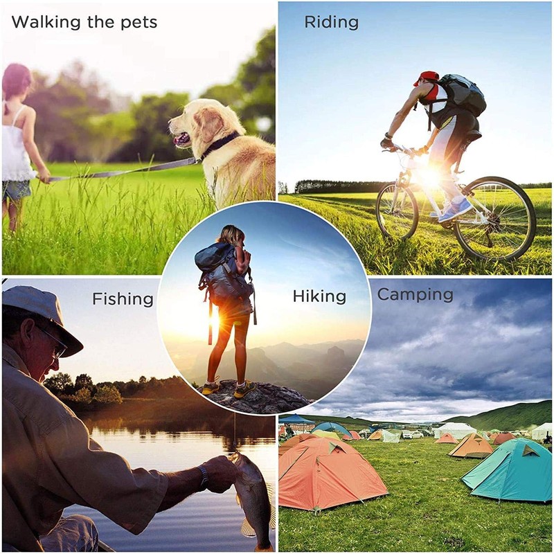 Feloyal 10 Pcs Aluminum Alloy D Hook Keychain Carabiner Clip