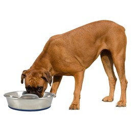OurPet's Durapet Slow Feed Premium Stainless Steel Dog Bowl, Silver, Large (2040010302)