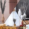 Artificial Faux Pampas Grass 8 Pcs Fake Artificial Adjustable Pampas