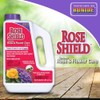 Bonide Rose Shield Systemic Rose & Flower Care, 6 lbs.