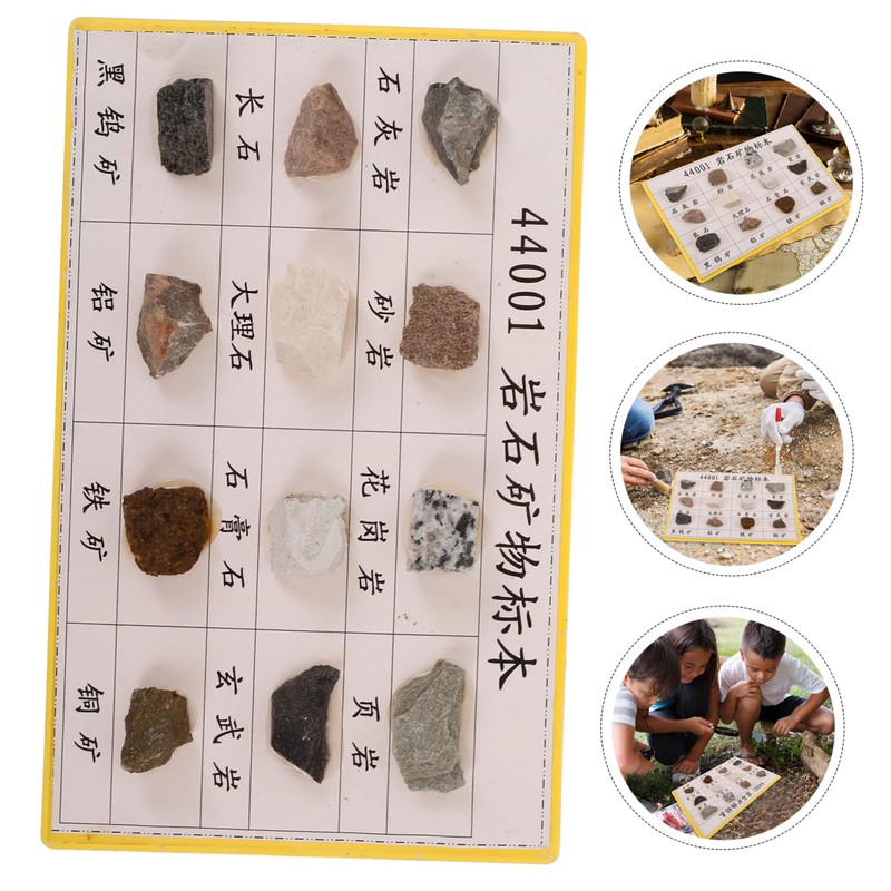 BUGUUYO 12pcs Portable Mineral Rock Specimen for Geology Education Lightweight