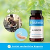 L Carnitin Kapseln hochdosiert 350mg, 100st. L-Carnitin Kapseln BIOHERBA