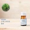 Organic Lemongrass 5ml Incent Organic Essential Oil Essential Oil 5ml