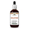Hawaii Pharm Spilanthes Alcohol-Free Extract, Glycerite for Oral Care, Soothes