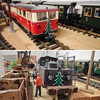 ML-Train Christmas Tree with Energy-Efficient LEDs 5-24 V for Locomotive