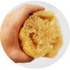 100% Natural Loofah Loofah Scrubbing Scourer Natural Color Unbleached Safe