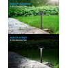 LEONLITE 12-Pack 2CCT Solar Powered Path Lights, 50/100% Dimmable, Auto