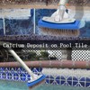NEOHATION Pool Pumice Stone and 5 inch Stainless Steel Pool