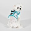 Puppia Theros Dog Vest Harness B (Step-in) Fashionable Striped Pattern