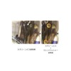 POSH FAITH 930516-K2 Motorcycle Goods Torx Slim Head Bolt (Stainless